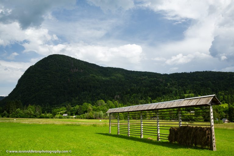 Kozolez (hay rack) in a field with Rudnica Hill in the background, Stara Fužina, Bohinj, Slovenia.