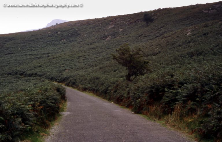 Magic Road in the Comeragh Mountains, County Waterford, Ireland.